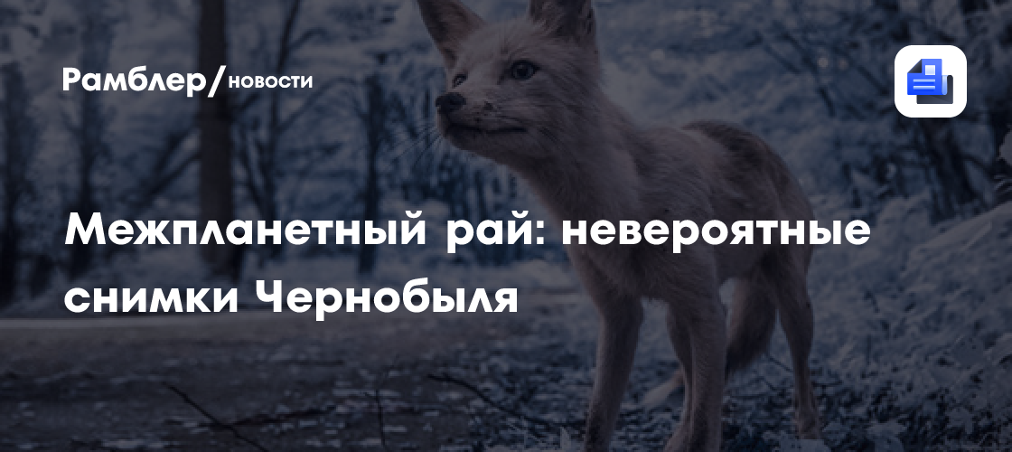 Межпланетный рай: невероятные снимки Чернобыля