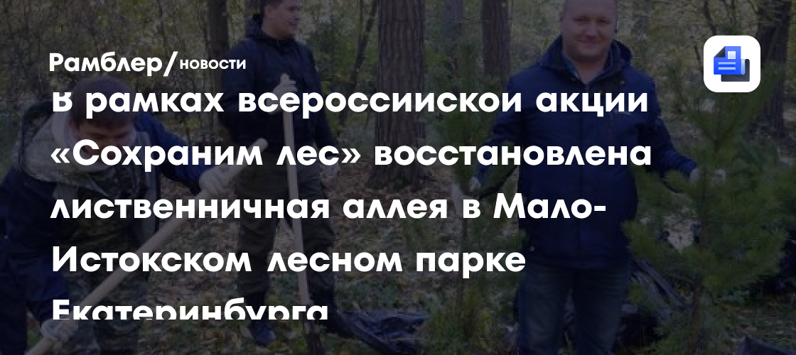В рамках всероссийской акции «сохраним лес» восстановлена лиственничная аллея в мало-истокском лесном парке екатеринбурга