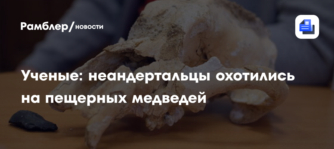 Ученые доказали, что неандертальцы охотились на пещерных медведей