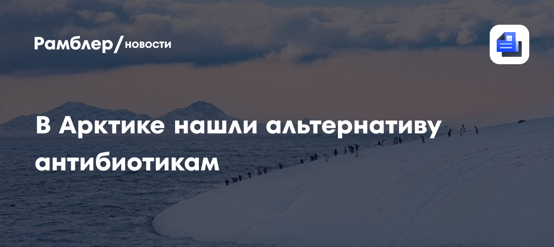 В арктике ученые обнаружили альтернативу антибиотикам