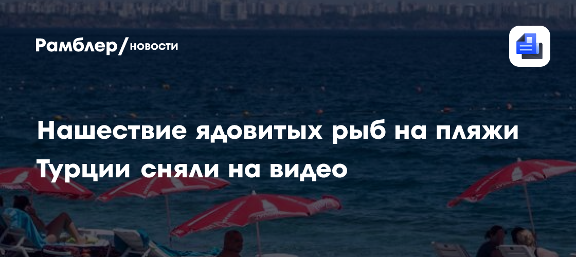 Нашествие ядовитых рыб на пляжи турции сняли на видео