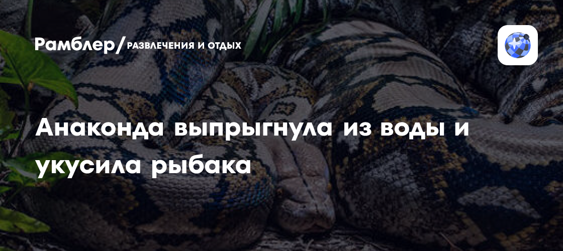 Анаконда выпрыгнула из воды и укусила рыбака