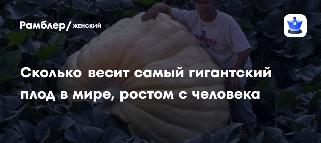 Сколько весит самый гигантский плод в мире, ростом с человека - Рамблер ...