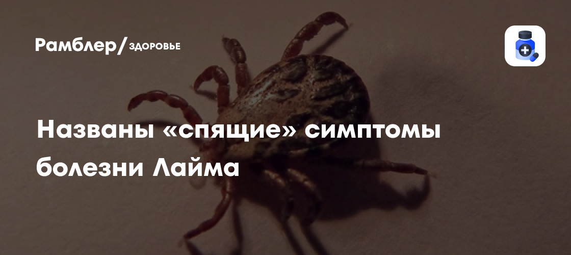 Названы «спящие» симптомы болезни Лайма, которые появляются после укуса ...