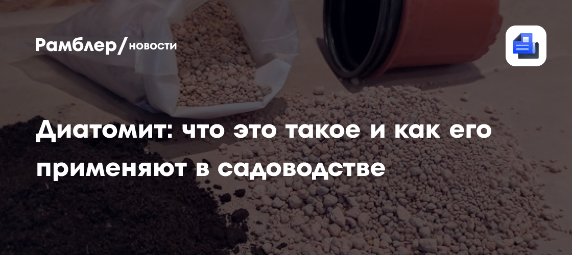 Диатомит: что это такое и как его применяют в садоводстве - Рамблер/новости