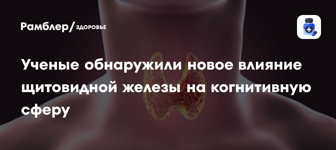 Гормон Т3 щитовидной железы стимулирует любознательность и стремление ...