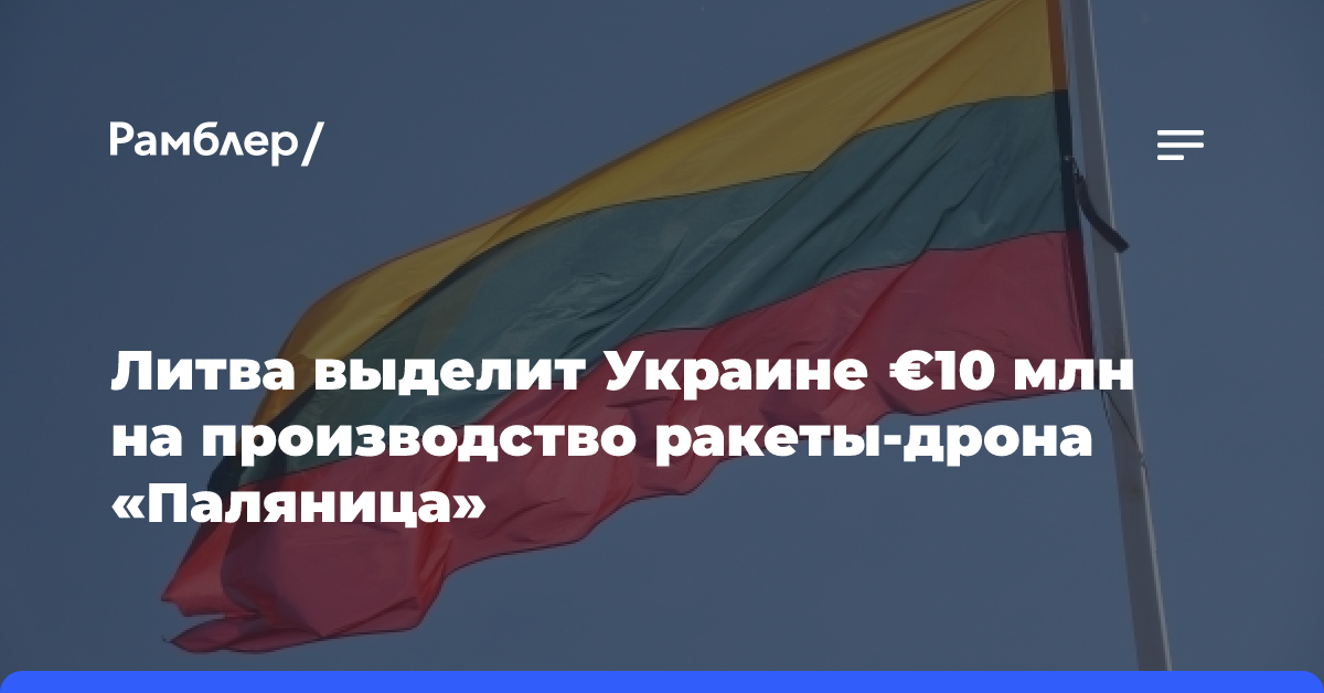 Литва выделит Украине €10 млн на производство ракеты-дрона «Паляница»