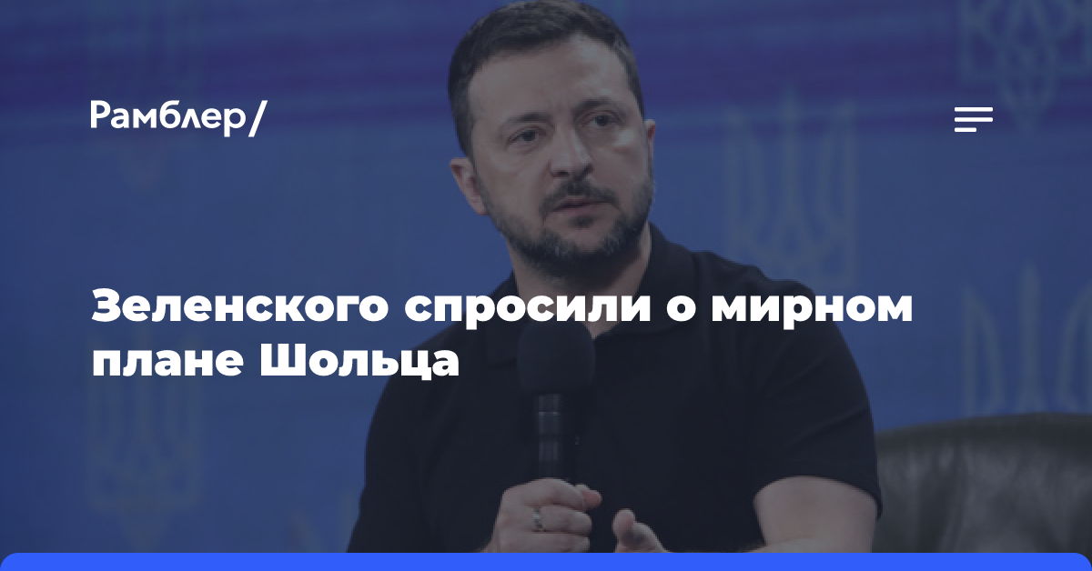 Зеленский заявил, что ничего не знает о мирном плане Шольца