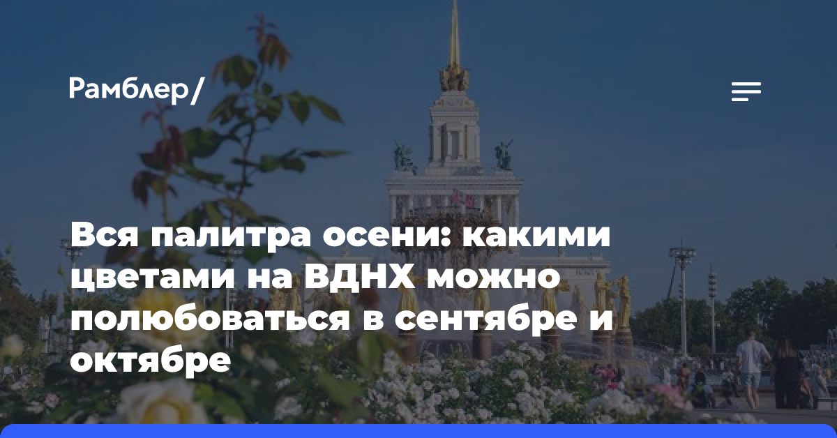 Вся палитра осени: какими цветами на ВДНХ можно полюбоваться в сентябре и октябре