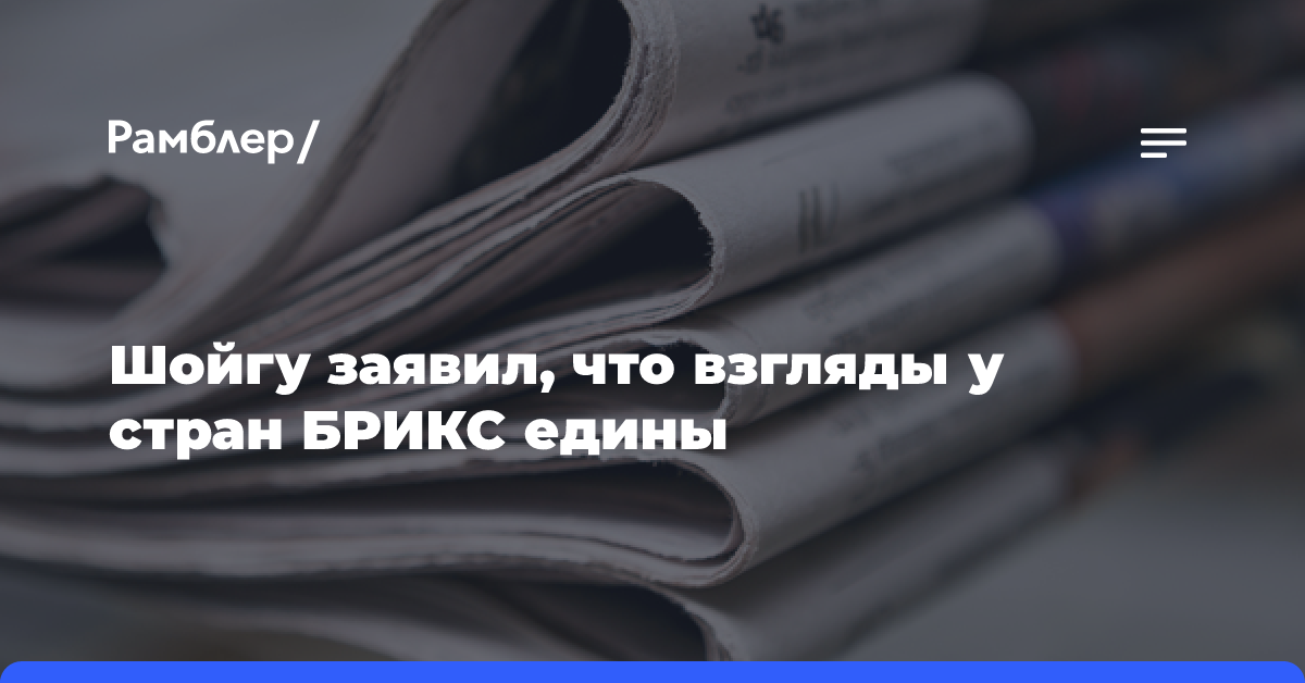 Шойгу заявил, что взгляды у стран БРИКС едины