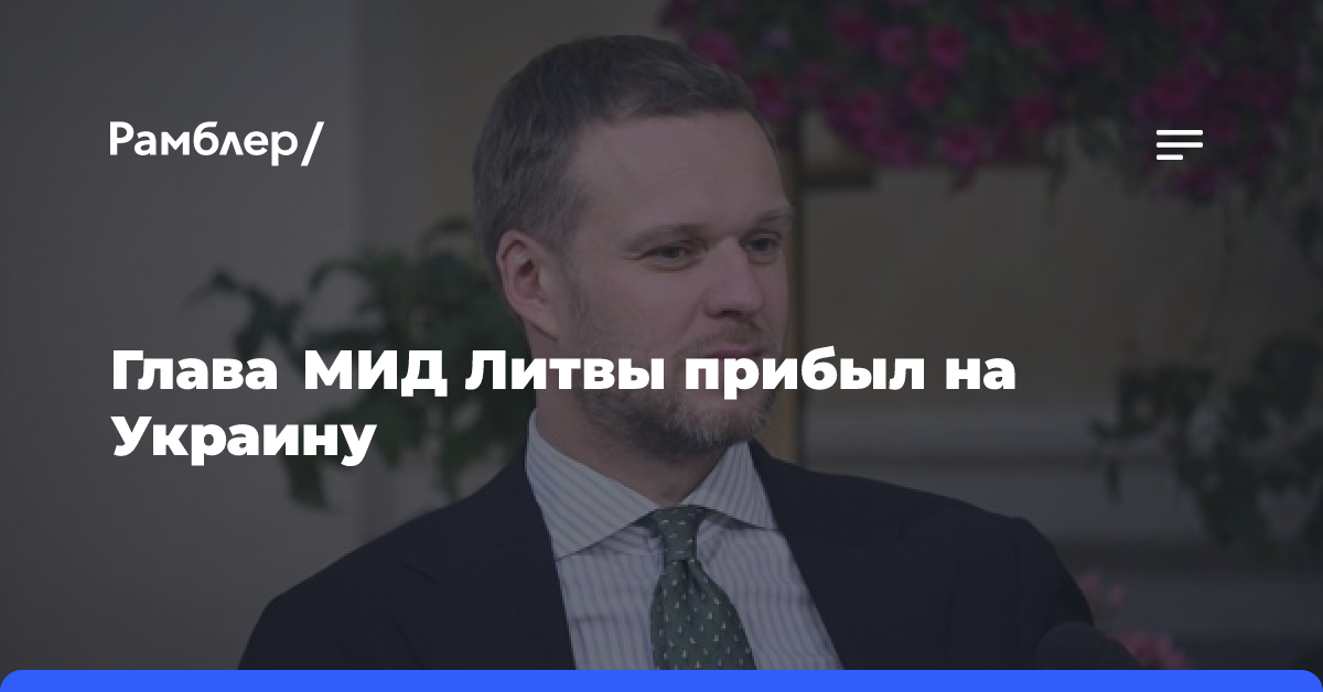 Глава МИД Литвы прибыл на Украину