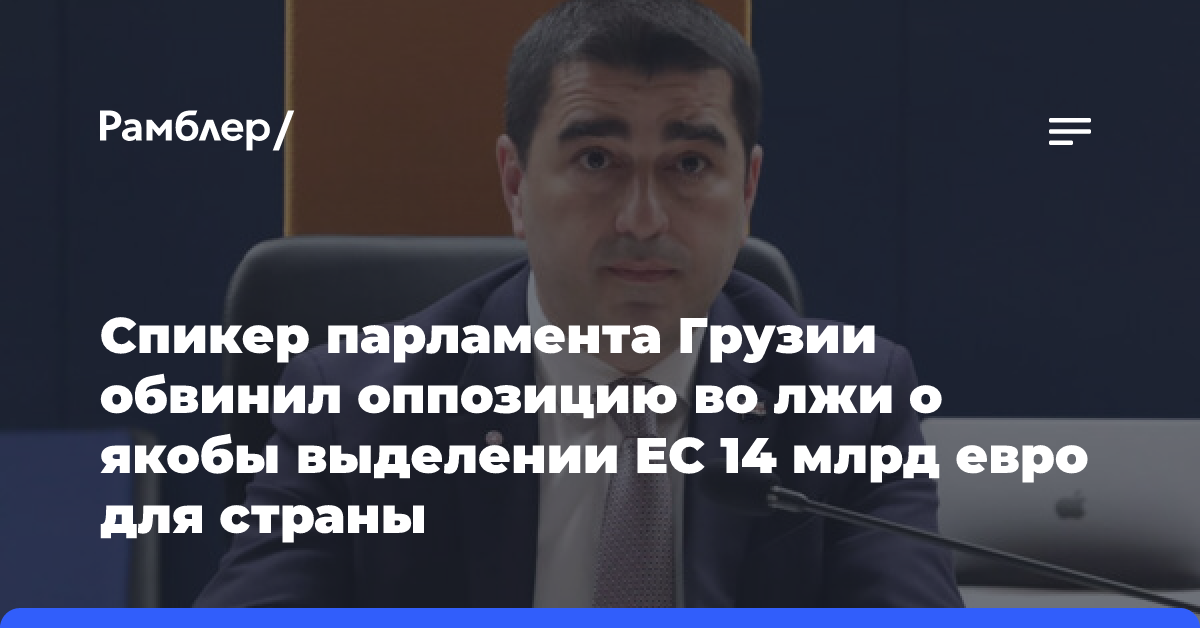 Спикер парламента Грузии обвинил оппозицию во лжи о якобы выделении ЕС 14 млрд евро для страны