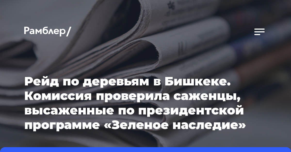 Рейд по деревьям в Бишкеке. Комиссия проверила саженцы, высаженные по президентской программе «Зеленое наследие»