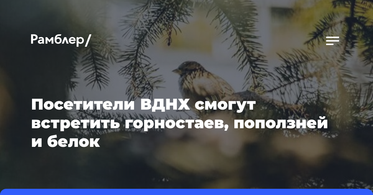 Посетители ВДНХ смогут встретить горностаев, поползней и белок