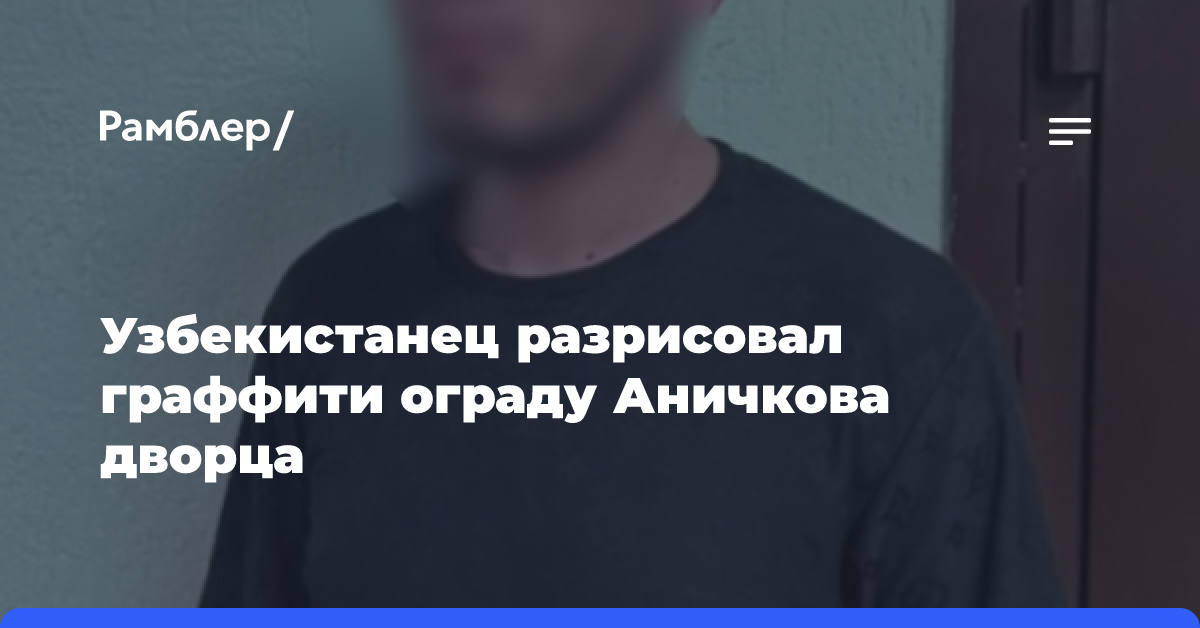 Узбекистанец разрисовал граффити ограду Аничкова дворца