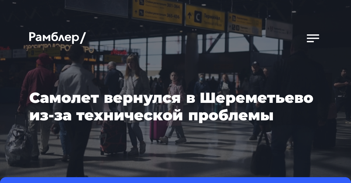 Вылетевшему в Нижний Новгород самолету пришлось вернуться в Москву