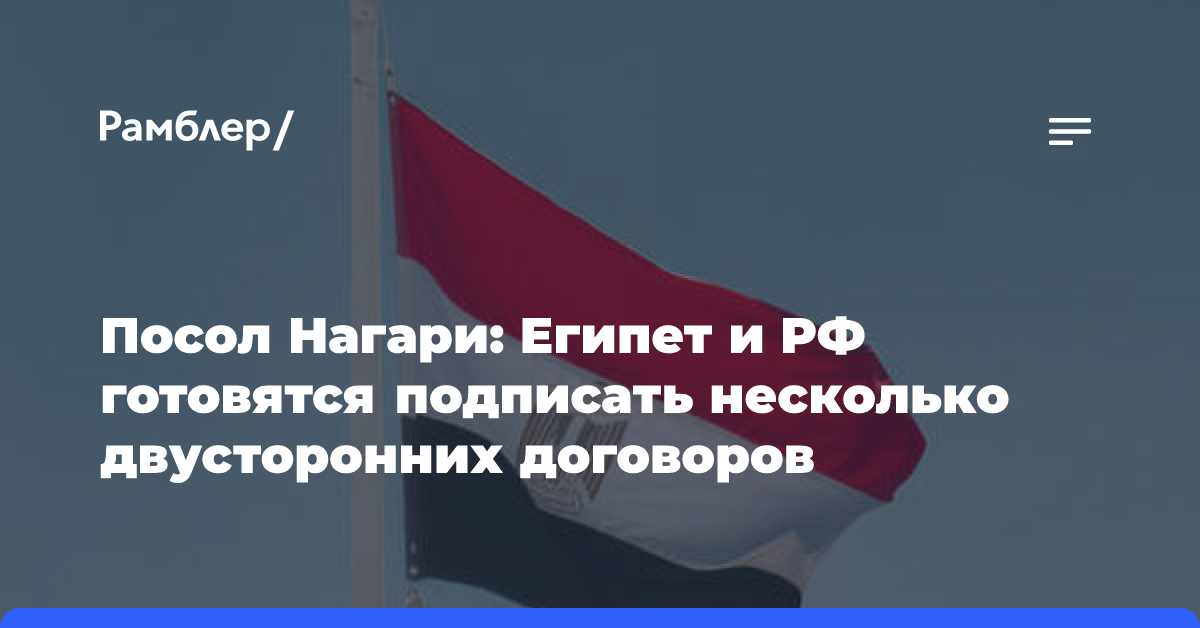 Посол Нагари: Египет и РФ готовятся подписать несколько двусторонних договоров