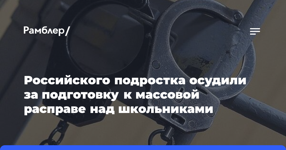 Российского подростка осудили за подготовку к массовой расправе над школьниками