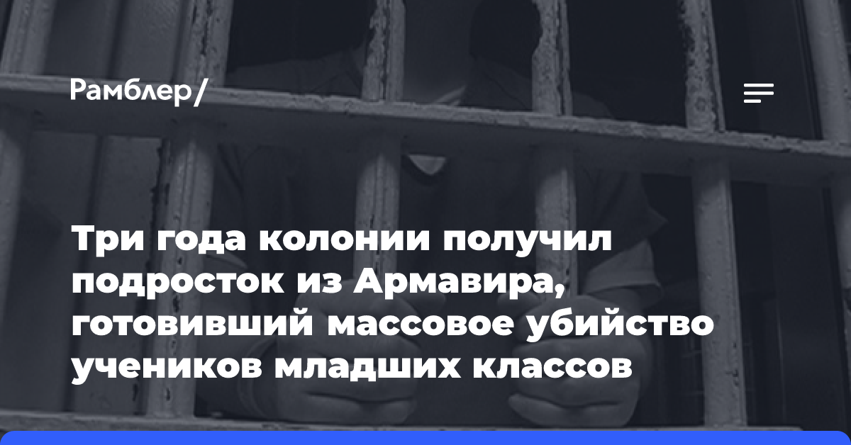 Три года колонии получил подросток из Армавира, готовивший массовое убийство учеников младших классов