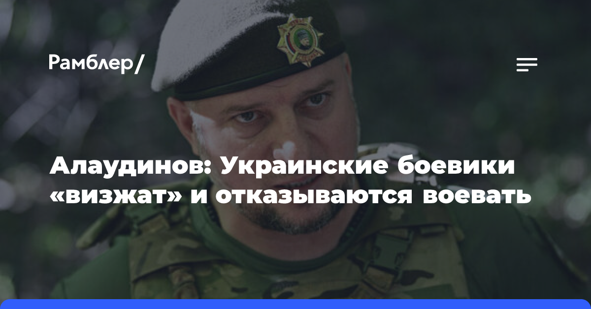 Алаудинов: Украинские боевики «визжат» и отказываются воевать