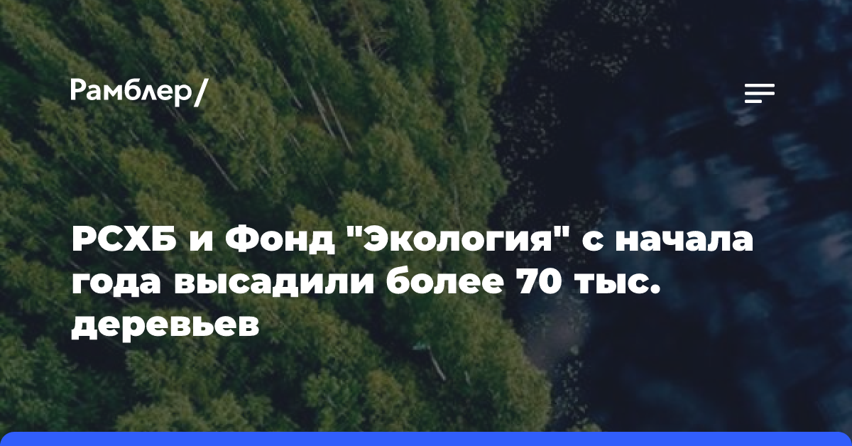 РСХБ и Фонд «Экология» с начала года высадили более 70 тыс. деревьев