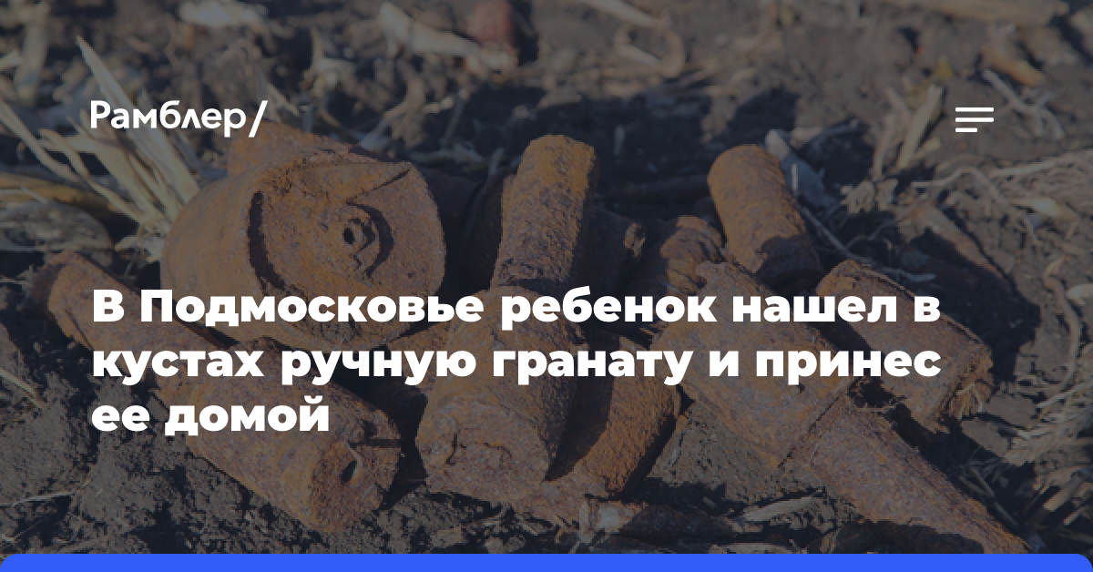 В Подмосковье ребенок нашел в кустах ручную гранату и принес ее домой