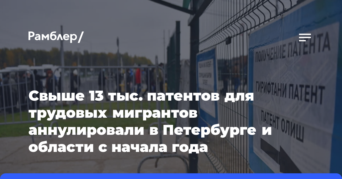 Свыше 13 тыс. патентов для трудовых мигрантов аннулировали в Петербурге и области с начала года