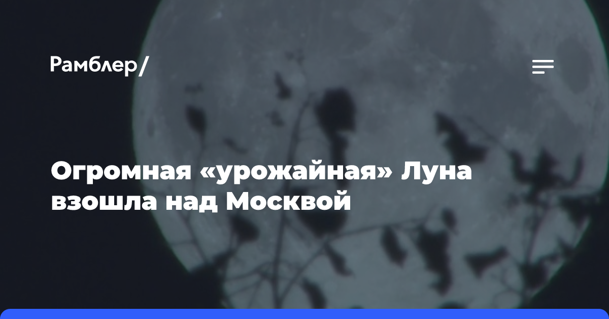 Огромная «урожайная» Луна взошла над Москвой