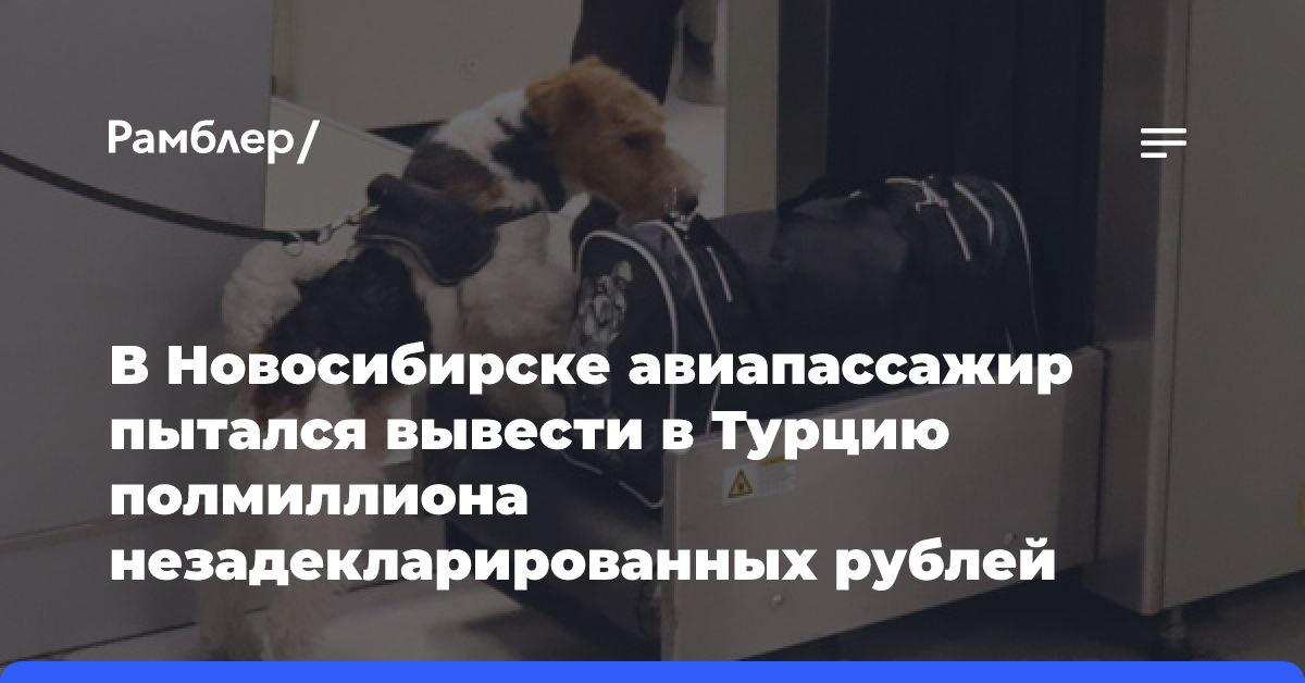 В Новосибирске авиапассажир пытался вывести в Турцию полмиллиона незадекларированных рублей