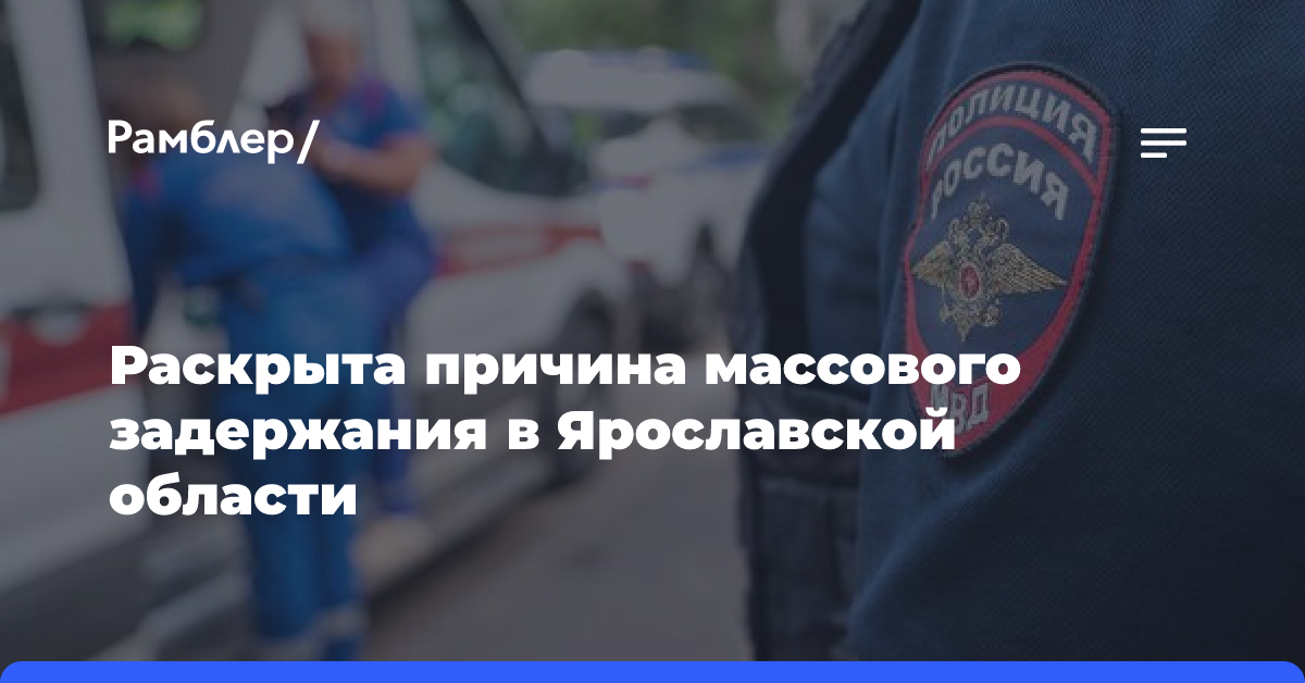 В Тутаеве Ярославской области причиной задержаний молодых людей стала драка