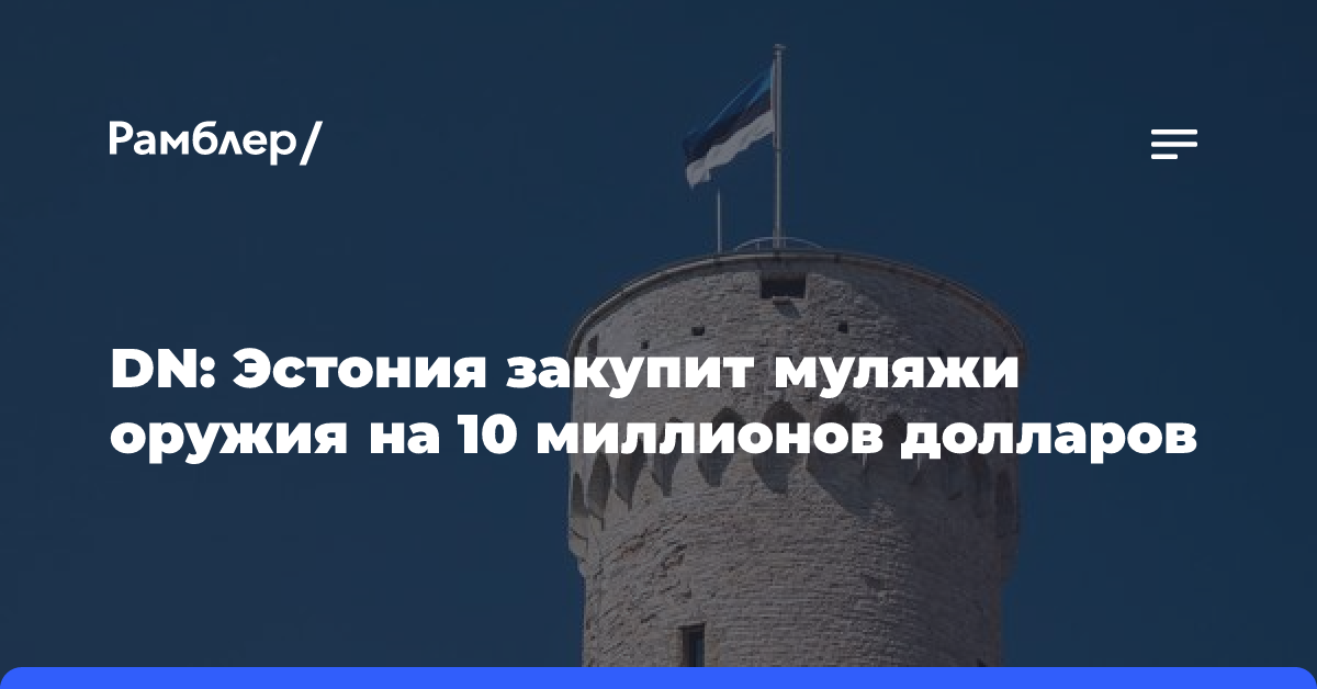 DN: Эстония закупит муляжи оружия на 10 миллионов долларов