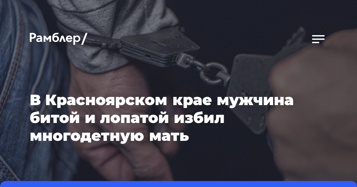 В Красноярском крае мужчина битой и лопатой избил многодетную мать