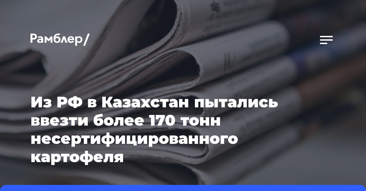 Из РФ в Казахстан пытались ввезти более 170 тонн несертифицированного картофеля