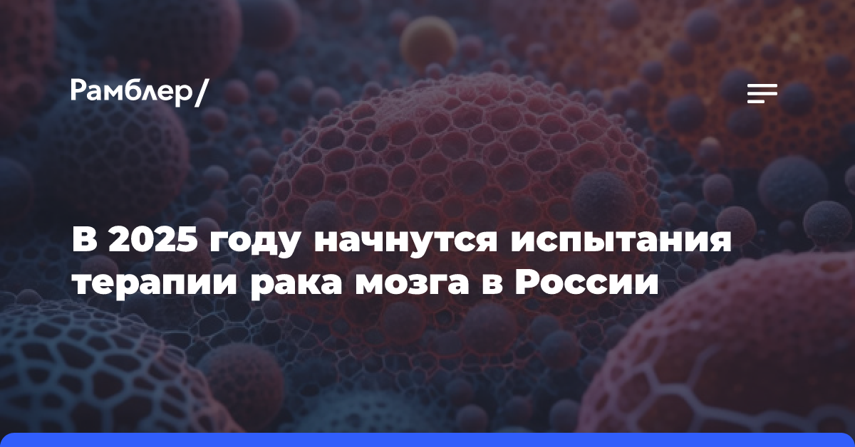 В 2025 году начнутся испытания терапии рака мозга в России