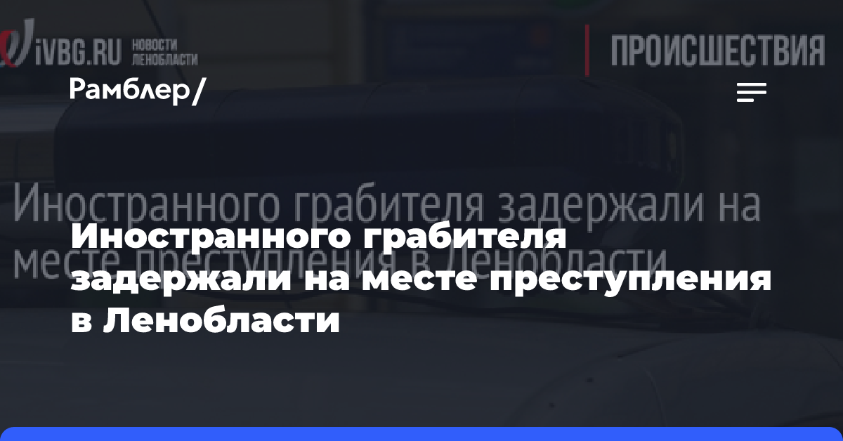 Иностранного грабителя задержали на месте преступления в Ленобласти