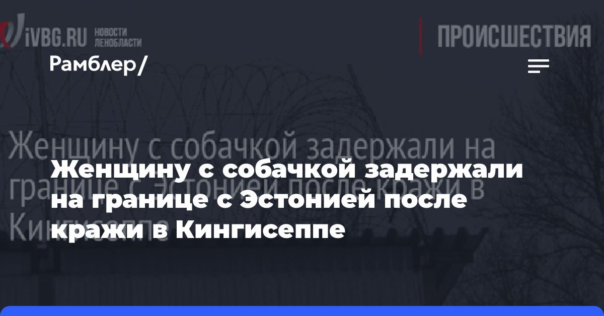 Женщину с собачкой задержали на границе с Эстонией после кражи в Кингисеппе