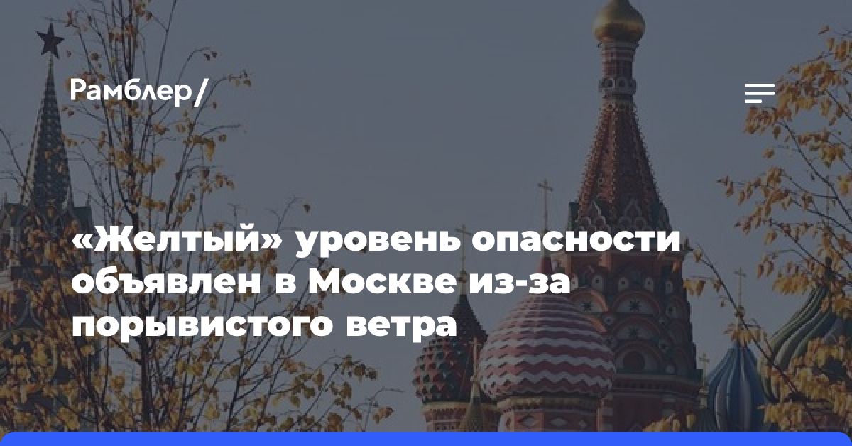 «Желтый» уровень опасности объявлен в Москве из-за порывистого ветра