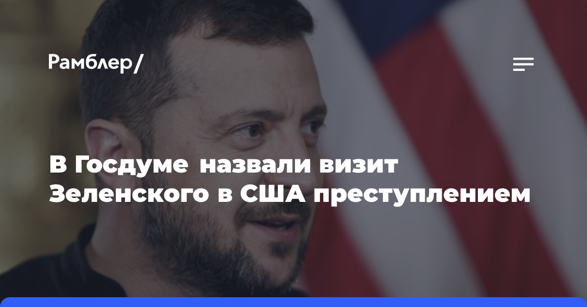 Депутат Госдумы Шеремет обвинил Зеленского во вмешательстве в выборы в США