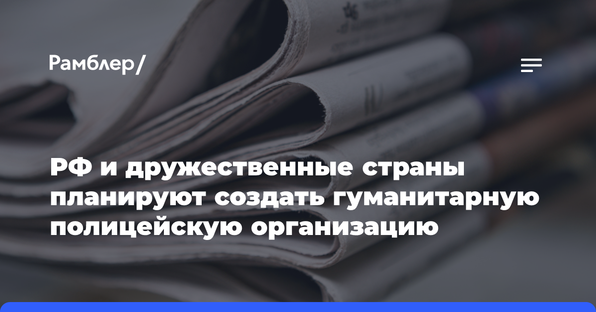 РФ и дружественные страны планируют создать гуманитарную полицейскую организацию