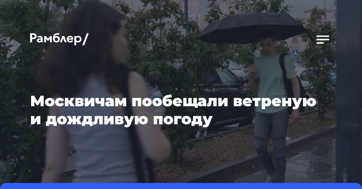 Москвичам пообещали ветреную и дождливую погоду