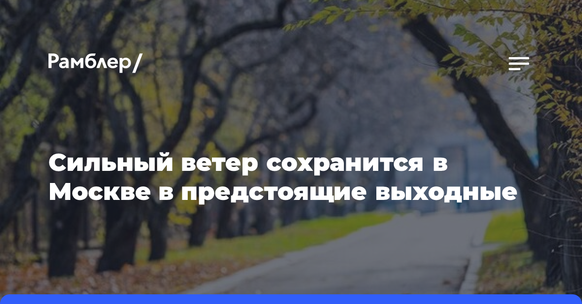 В Москве сильный ветер