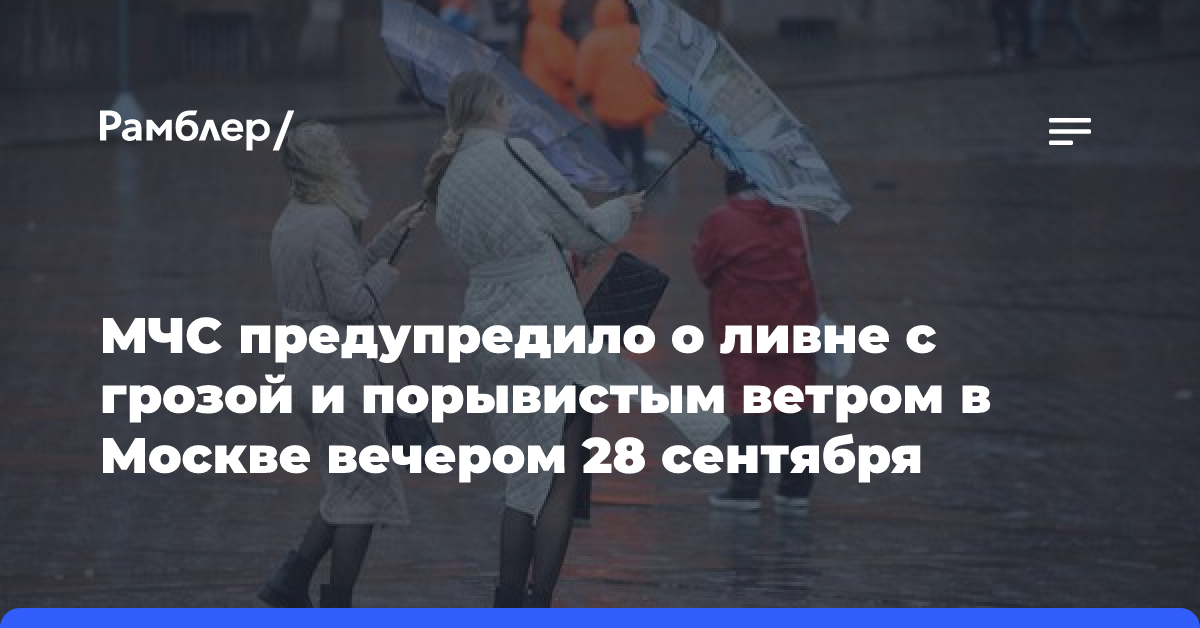 МЧС предупредило о ливне с грозой и порывистым ветром в Москве вечером 28 сентября