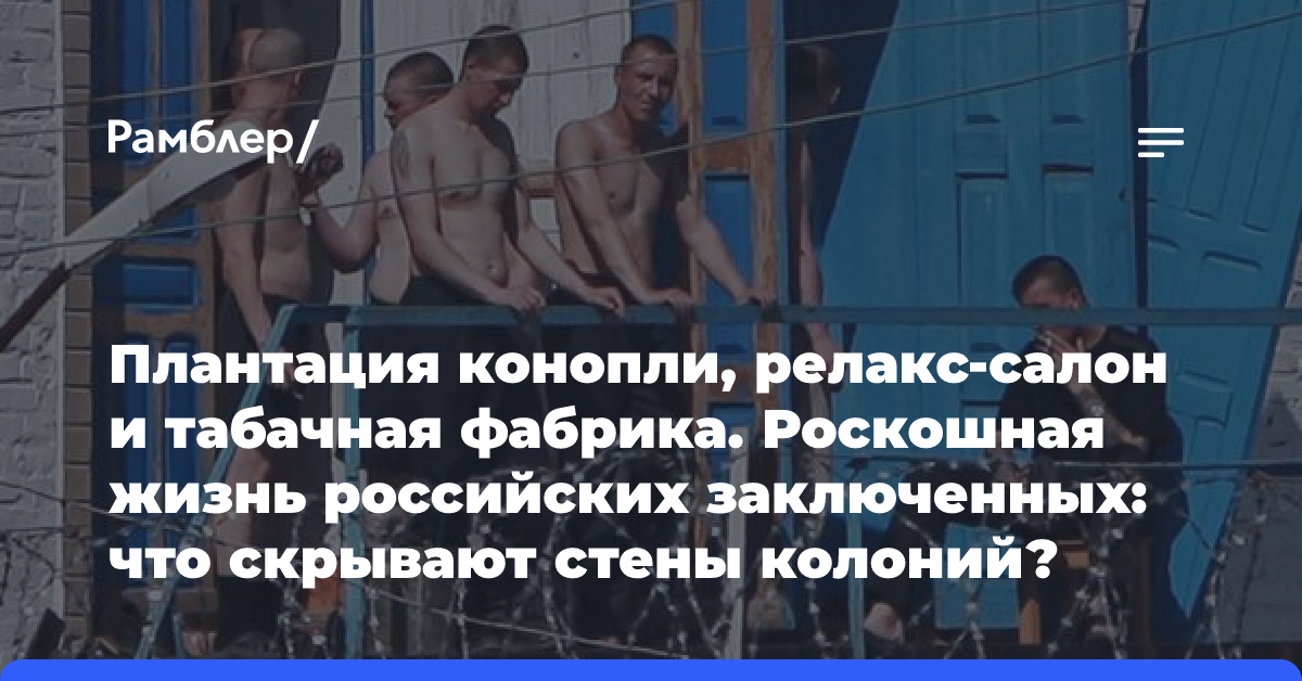 Плантация конопли, релакс-салон и табачная фабрика. Роскошная жизнь российских заключенных: что скрывают стены колоний?