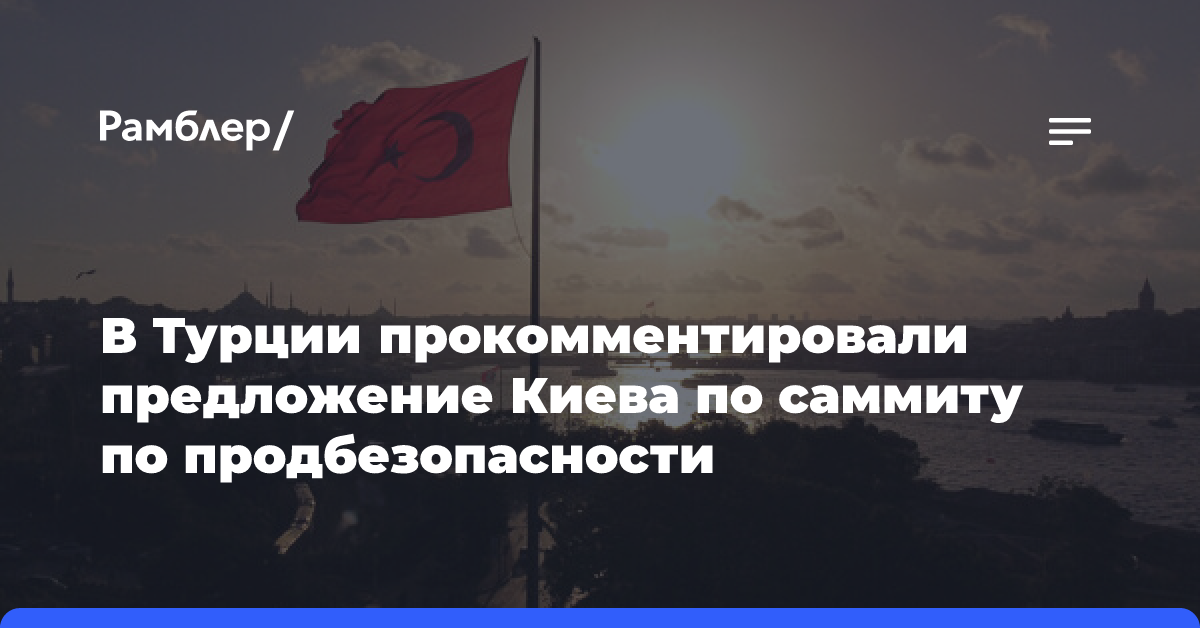 РИА: решений по предложенному Киевом саммиту по продбезпасности в Турции нет