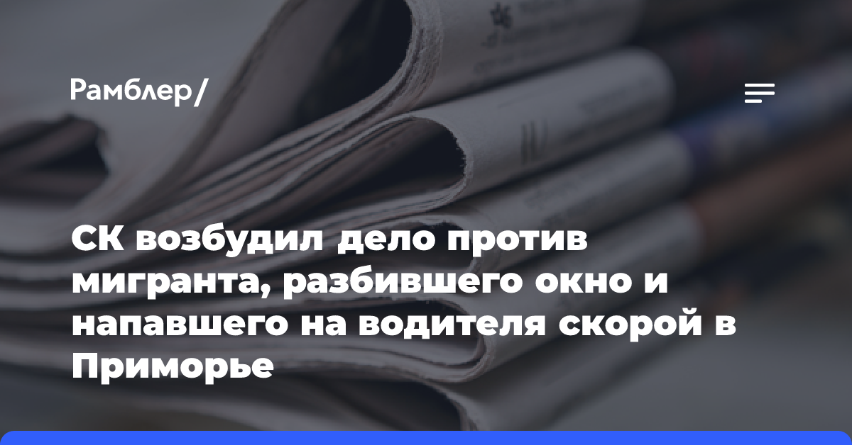 СК возбудил дело против мигранта, разбившего окно и напавшего на водителя скорой в Приморье