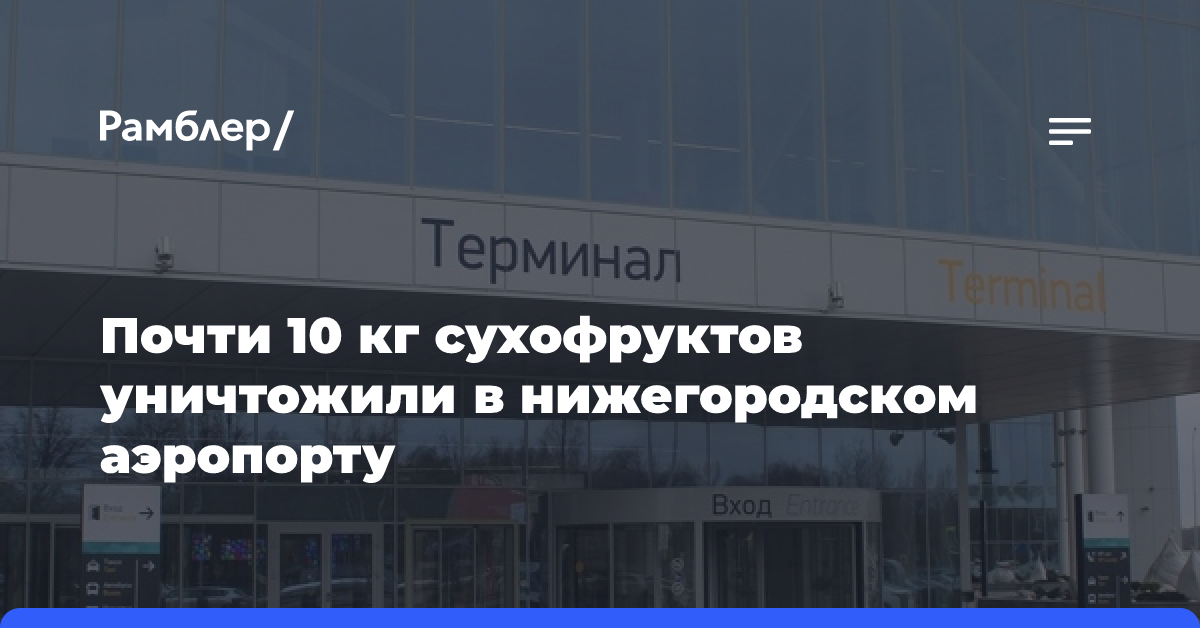 Почти 10 кг сухофруктов уничтожили в нижегородском аэропорту