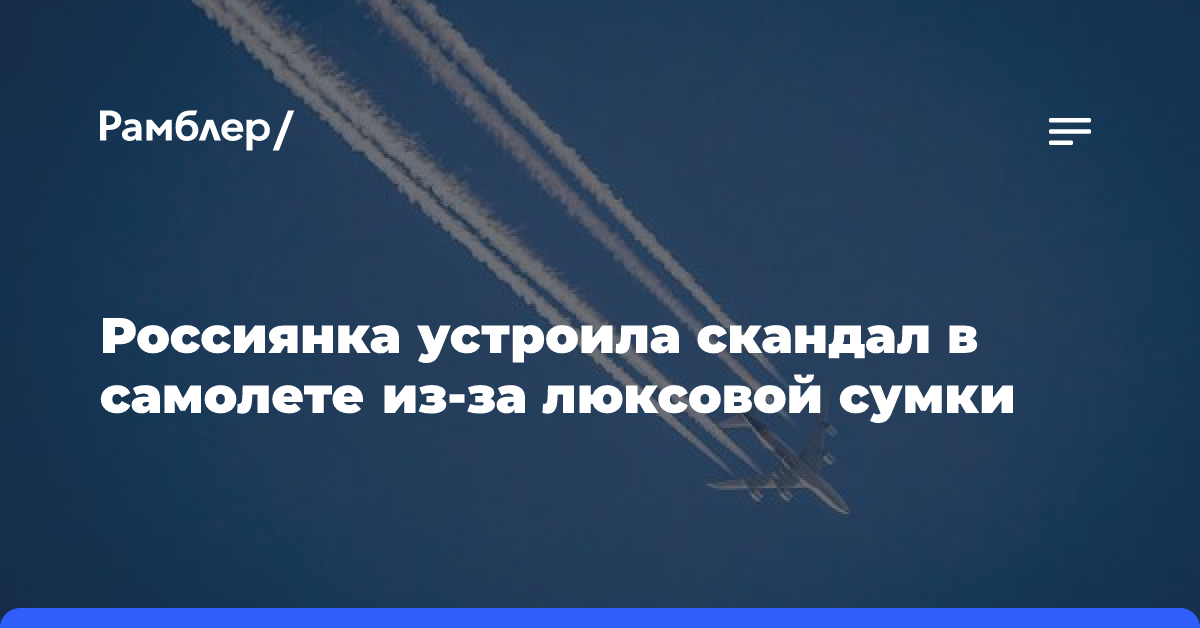 Россиянка устроила скандал в самолете из-за люксовой сумки