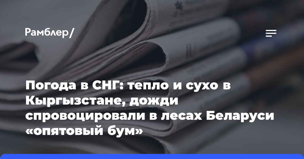 Погода в СНГ: тепло и сухо в Кыргызстане, дожди спровоцировали в лесах Беларуси «опятовый бум»