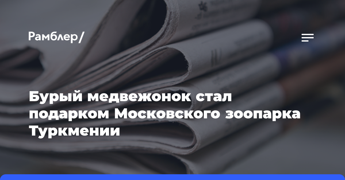 Бурый медвежонок стал подарком Московского зоопарка Туркмении