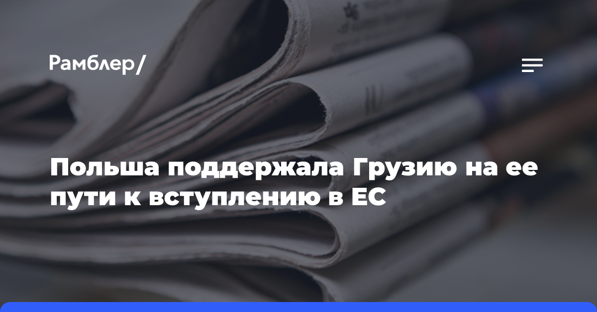 Польша поддержала Грузию на ее пути к вступлению в ЕС